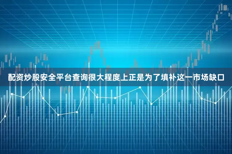 配资炒股安全平台查询很大程度上正是为了填补这一市场缺口